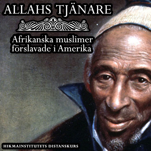 Afrikanska muslimer förslavade i Amerika
